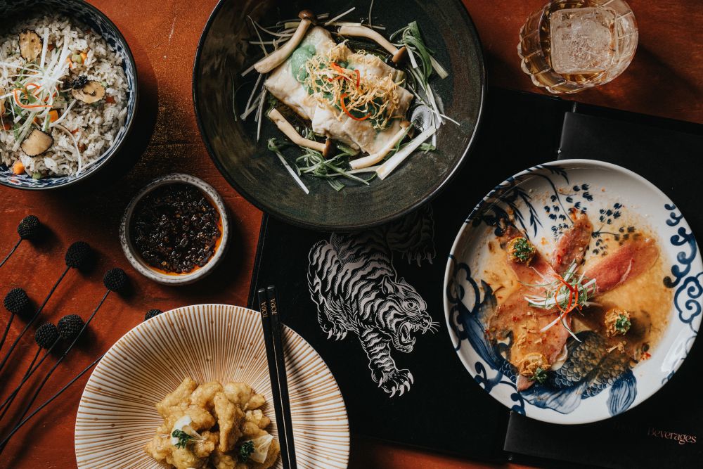Assorted Asian cuisine in bowls, wooden table, white tiger illustration