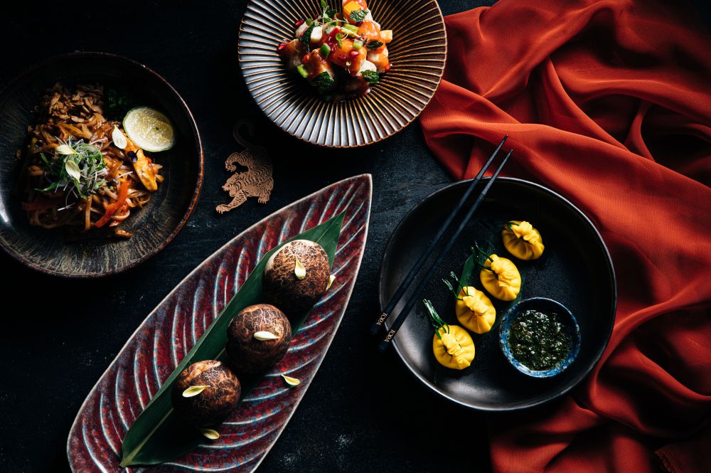A vibrant food presentation with dumplings, mushrooms, noodles, and salad on colorful plates beside red fabric.